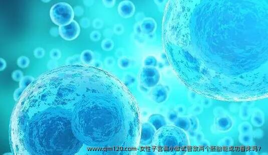 女性子宫偏小做试管放两个胚胎能成功着床吗？