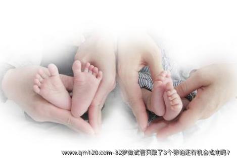 32岁做试管只取了3个卵泡还有机会成功吗？