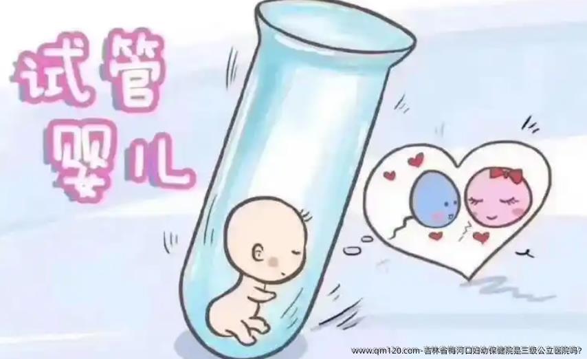 吉林省梅河口妇幼保健院是三级公立医院吗?