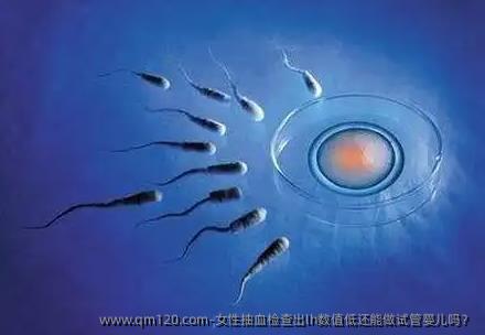 女性抽血检查出lh数值低还能做试管婴儿吗？