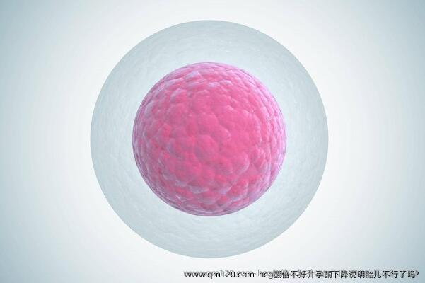 hcg翻倍不好并孕酮下降说明胎儿不行了吗?