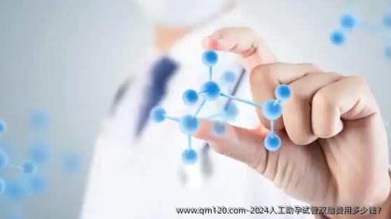 2024人工助孕试管双胎费用多少钱？