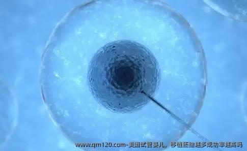 美国试管婴儿，移植胚胎越多成功率越高吗