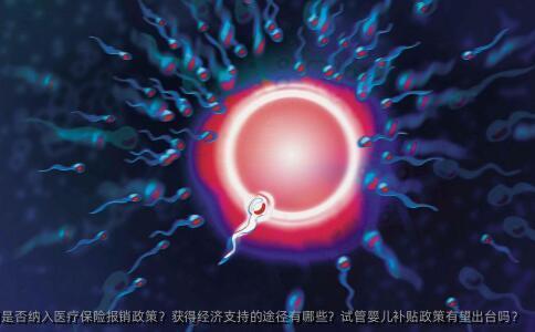 海南试管婴儿费用是否纳入医疗保险报销**？获得经济支持的途径有哪些？试管婴儿****有望出台吗？