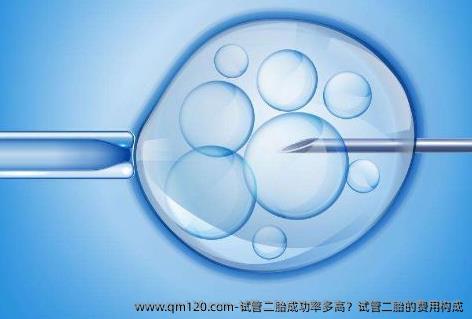 试管**成功率多高？试管**的费用构成