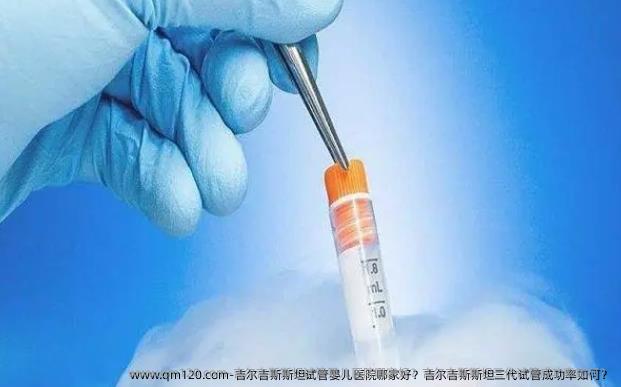 吉尔吉斯斯坦试管婴儿医院哪家好？吉尔吉斯斯坦三代试管成功率如何？