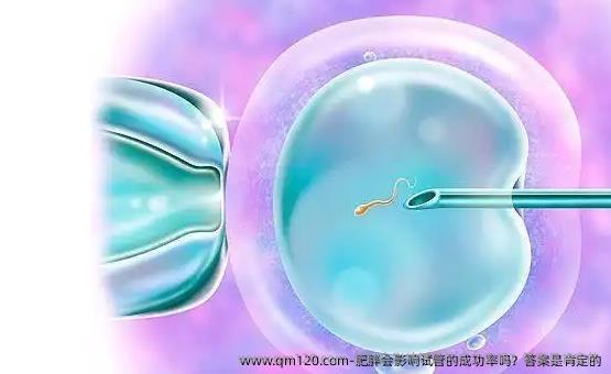 肥胖会影响试管的成功率吗？答案是肯定的