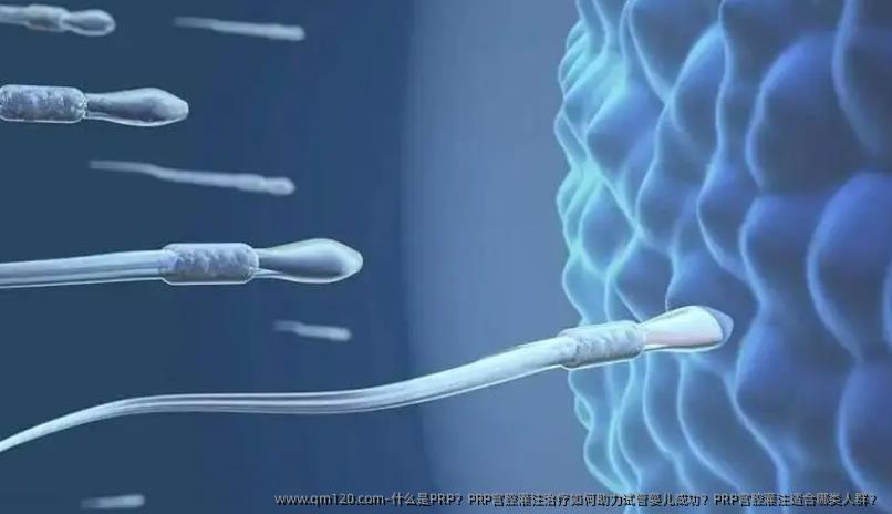 什么是PRP？PRP宫腔灌注治疗如何助力试管婴儿成功？PRP宫腔灌注适合哪类人群？