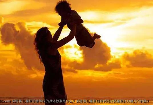 试管婴儿囊胚质量等级的具体标准是什么？试管婴儿囊胚培育时可以将囊胚分为哪几个时期？