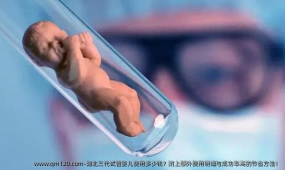湖北三代试管婴儿费用多少钱？附上额外费用明细与成功率高的节省方法！