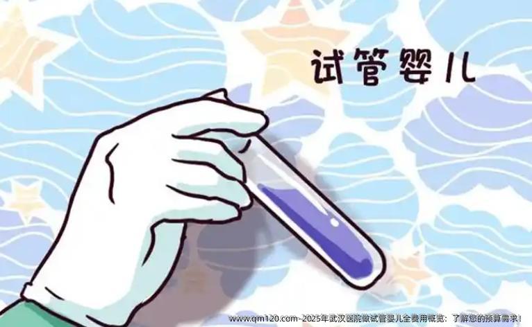 2025年武汉医院做试管婴儿全费用概览：了解您的预算需求！