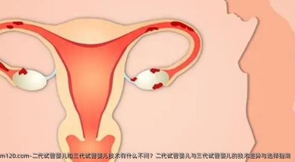 二代试管婴儿和三代试管婴儿技术有什么不同？二代试管婴儿与三代试管婴儿的技术差异与选择指南
