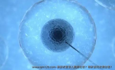 泰国试管婴儿费用比较？哪家医院收费合理？