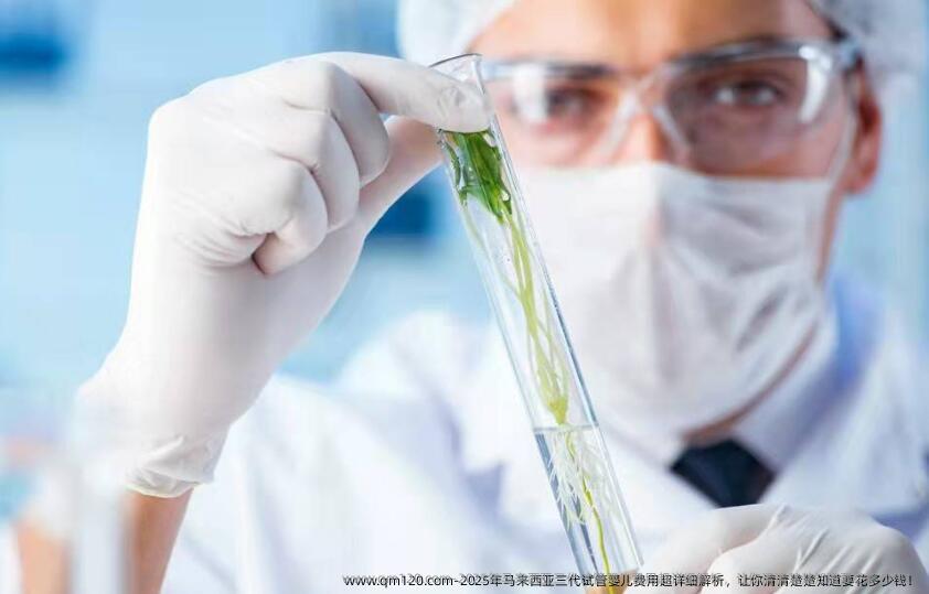 2025年马来西亚三代试管婴儿费用超详细解析，让你清清楚楚知道要花多少钱！
