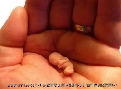 广东试管婴儿医院费用多少？如何找到合适医院？