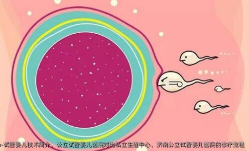 试管婴儿技术简介，公立试管婴儿医院对比私立生殖中心，济南公立试管婴儿医院的诊疗流程