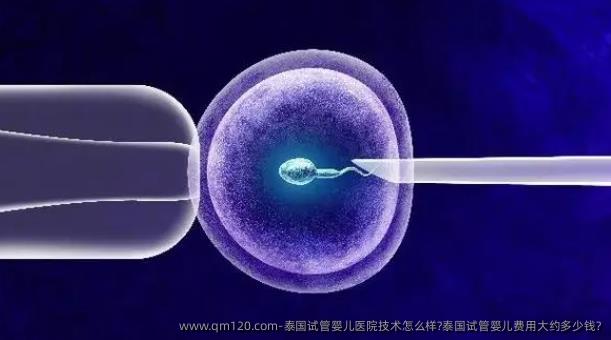 泰国试管婴儿医院技术怎么样?泰国试管婴儿费用大约多少钱?