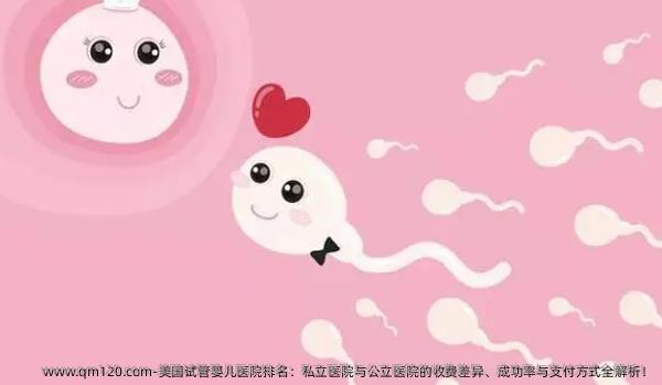 美国试管婴儿医院排名：私立医院与公立医院的收费差异、成功率与支付方式全解析！