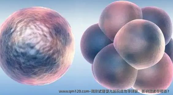 南京试管婴儿医院成功率详解，影响因素有哪些？