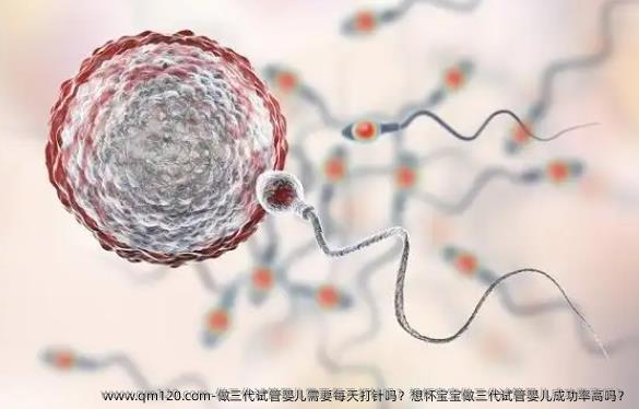 做三代试管婴儿需要每天打针吗？想怀宝宝做三代试管婴儿成功率高吗？