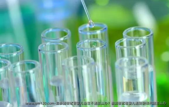 去泰国做试管婴儿语言不通怎么办？泰国做试管婴儿遇到翻译问题怎么办