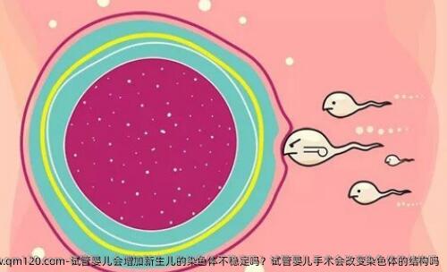 试管婴儿会增加新生儿的染色体不稳定吗？试管婴儿手术会改变染色体的结构吗