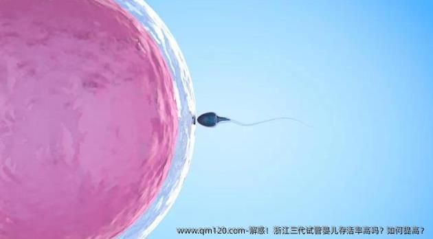 解惑！浙江三代试管婴儿存活率高吗？如何提高？