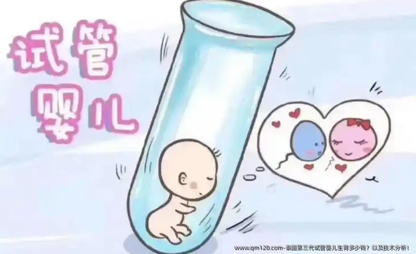 泰国第三代试管婴儿生育多少钱？以及技术分析！