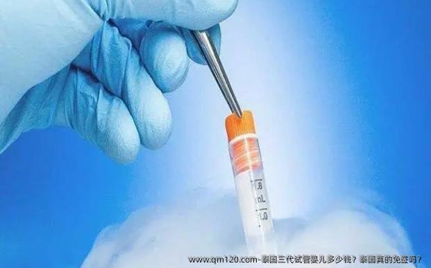 泰国三代试管婴儿多少钱？泰国真的免签吗？