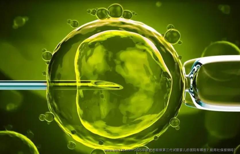 2025年明光市能做第三代试管婴儿的医院有哪些？能用社保报销吗？