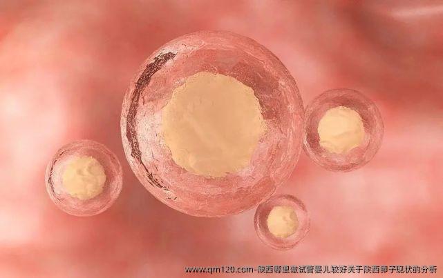 陕西哪里做试管婴儿较好关于陕西卵子现状的分析