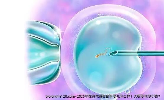 2025年在丹东市做试管婴儿怎么样？大概要花多少钱？