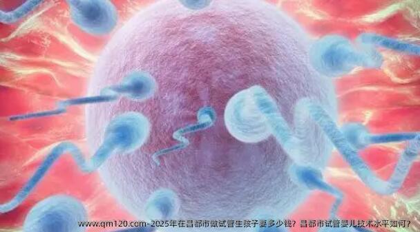 2025年在昌都市做试管生孩子要多少钱？昌都市试管婴儿技术水平如何？