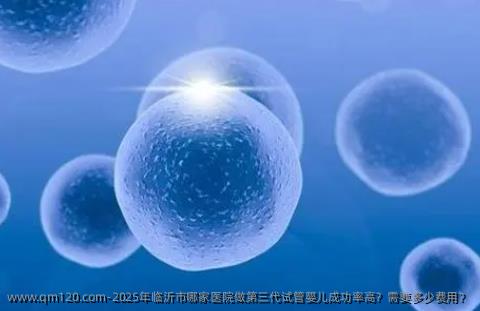 2025年临沂市哪家医院做第三代试管婴儿成功率高？需要多少费用？