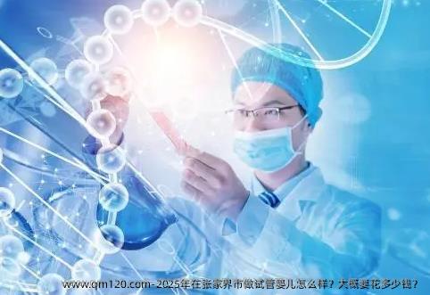 2025年在张家界市做试管婴儿怎么样？大概要花多少钱？