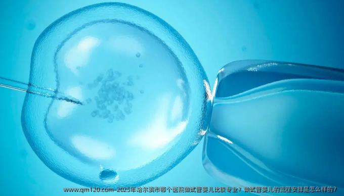 2025年哈尔滨市哪个医院做试管婴儿比较专业？做试管婴儿的流程安排是怎么样的？