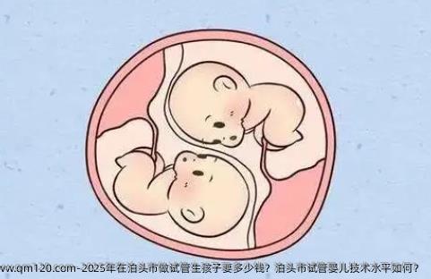 2025年在泊头市做试管生孩子要多少钱？泊头市试管婴儿技术水平如何？