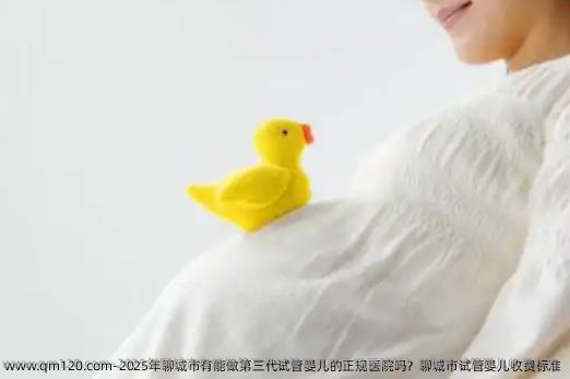 2025年聊城市有能做第三代试管婴儿的正规医院吗？聊城市试管婴儿收费标准