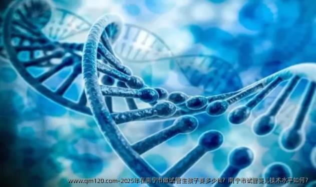 2025年在南宁市做试管生孩子要多少钱？南宁市试管婴儿技术水平如何？