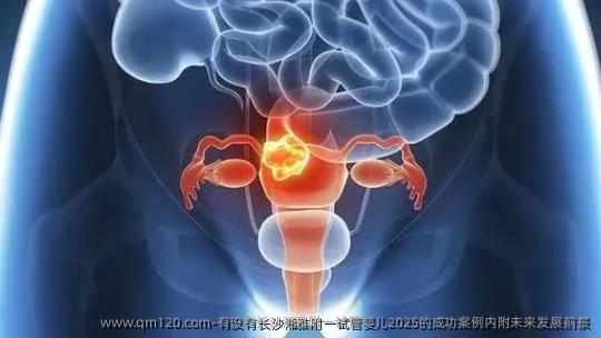有没有长沙湘雅附一试管婴儿2025的成功案例内附未来发展前景