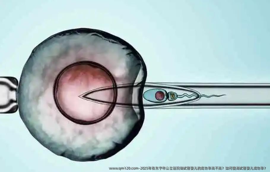 2025年在东宁市公立医院做试管婴儿的成功率高不高？如何提高试管婴儿成功率？