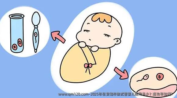 2025年在安陆市做试管婴儿费用多少？成功率如何？