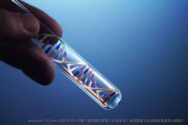 2025年乐山市哪个医院做试管婴儿比较专业？做试管婴儿的流程安排是怎么样的？