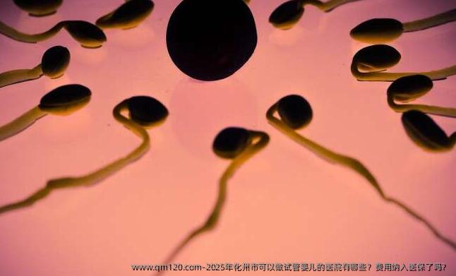 2025年化州市可以做试管婴儿的医院有哪些？费用纳入医保了吗？