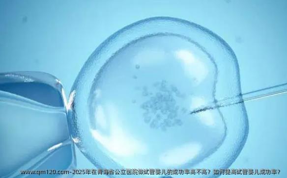 2025年在青海省公立医院做试管婴儿的成功率高不高？如何提高试管婴儿成功率？