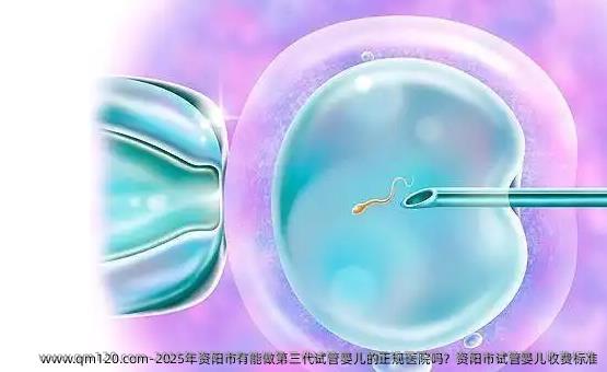 2025年资阳市有能做第三代试管婴儿的正规医院吗？资阳市试管婴儿收费标准