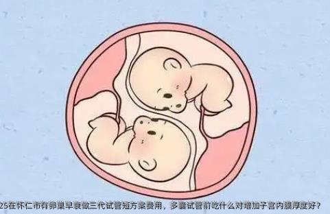 2025在怀仁市有卵巢早衰做三代试管短方案费用，多囊试管前吃什么对增加子宫内膜厚度好？
