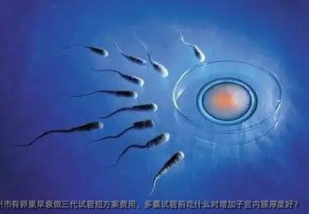 2025在莱州市有卵巢早衰做三代试管短方案费用，多囊试管前吃什么对增加子宫内膜厚度好？