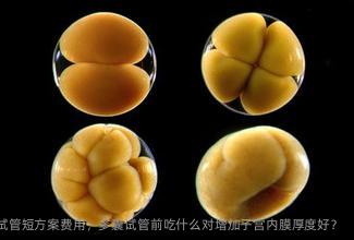 2025在江阴市有卵巢早衰做三代试管短方案费用，多囊试管前吃什么对增加子宫内膜厚度好？