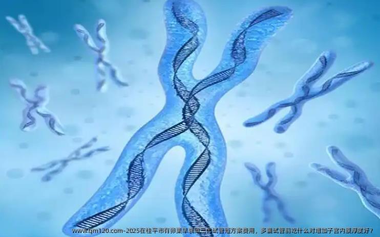 2025在桂平市有卵巢早衰做三代试管短方案费用，多囊试管前吃什么对增加子宫内膜厚度好？